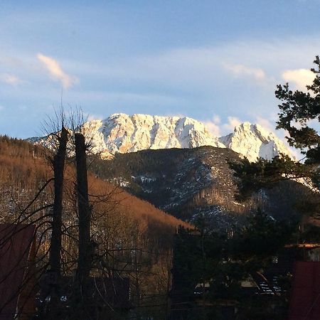 Dom Wypoczynkowy Jadzia Zakopane Exterior foto